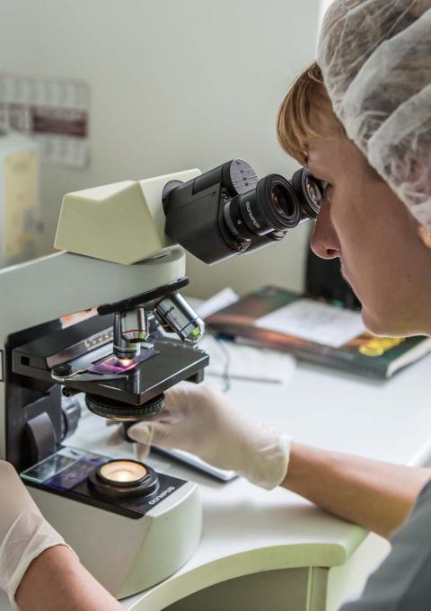 Biologist looking at a slide through a microscope to get a white blood cell count, in the laboratory of the Zhytomyr Regional TB Dispensary. 